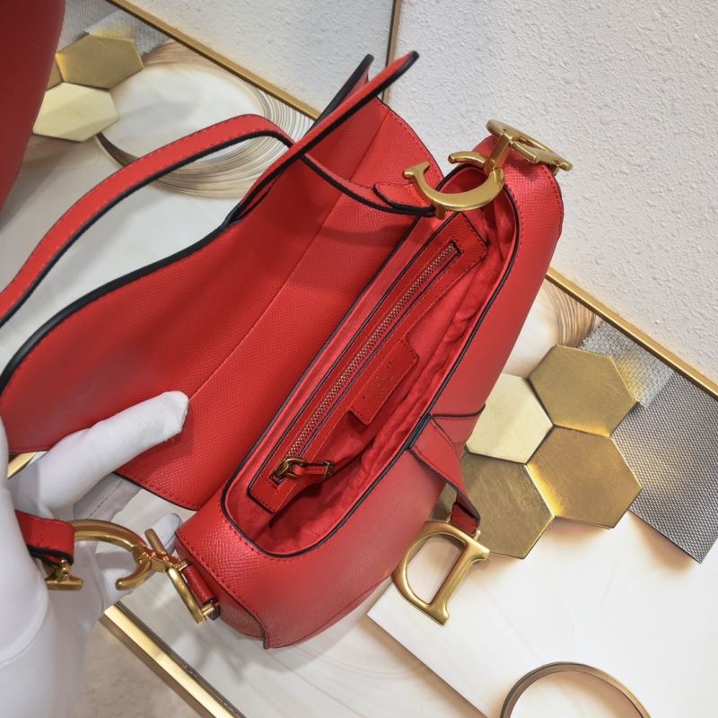 Dior Saddle Bags